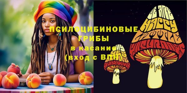 первитин Абинск