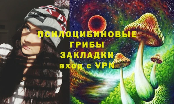 гидропоника Белая Холуница