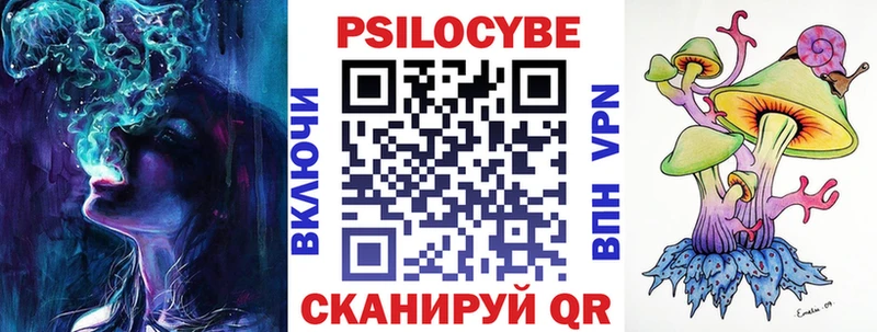 hydra рабочий сайт  купить наркотики цена  Чита  Галлюциногенные грибы MAGIC MUSHROOMS 